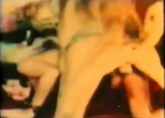 Linda Lovelace Dog Sex Bestiality Movie