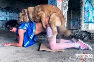 Art Of Zoo - Pump It - Zumi - dog porn
