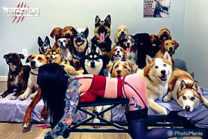 Art Of Zoo Dog Porn Mogul Project #2 - Strict Machine