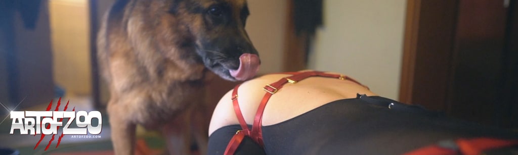 Woman dog porn