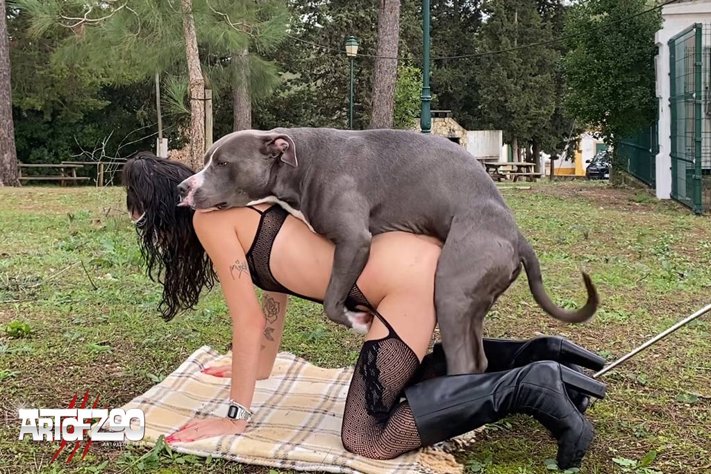 Art Of Zoo - Work It - Wanda - dog porn movie