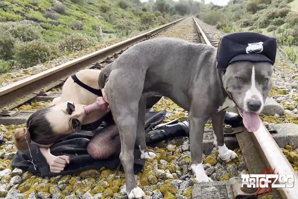 Art of Zoo - Dog on Rails - Donna - dog porn movie