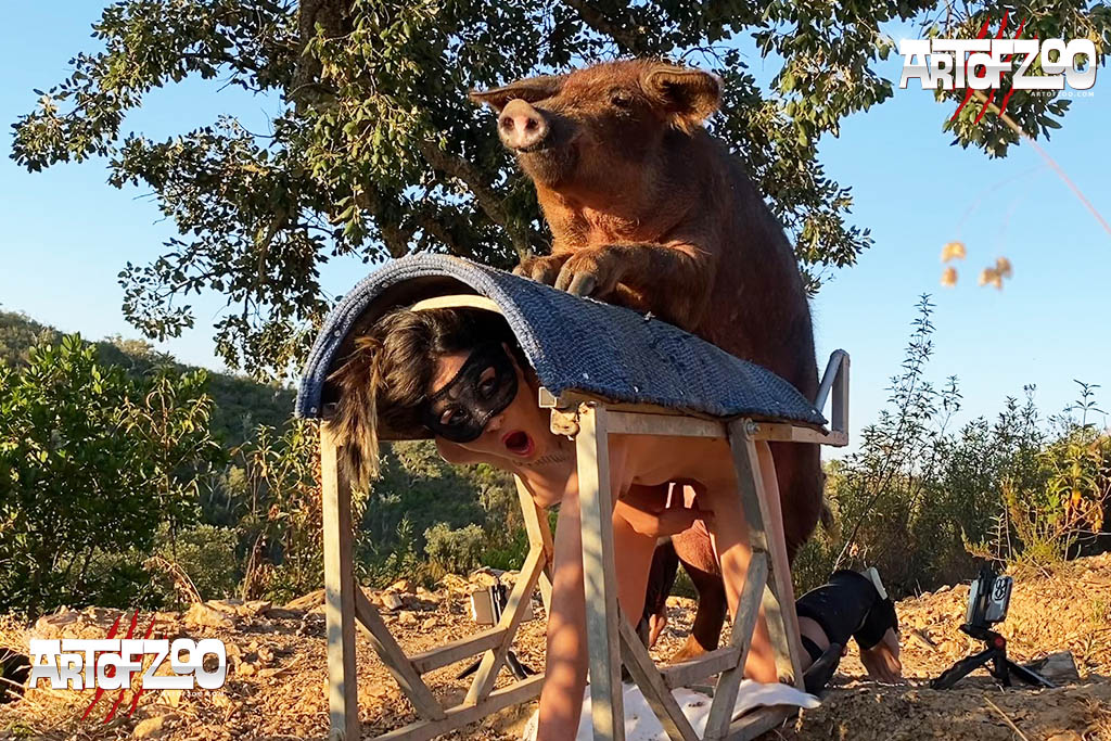 Boar Corps Update ArtOfZoo Home of Animal Porn 