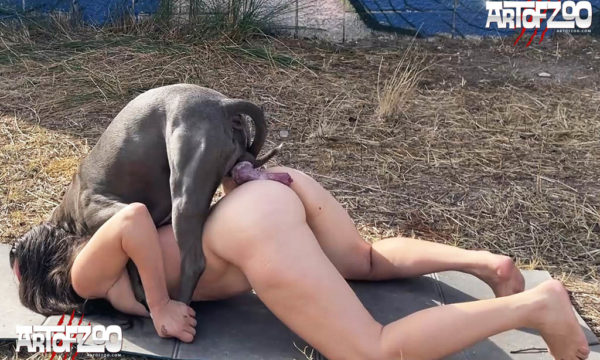 Art Of Zoo - Hard Petting - Marcia - dog porn movie