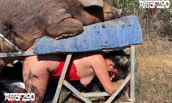 Art of Zoo - Boar Corps. Extra - pig sex videos