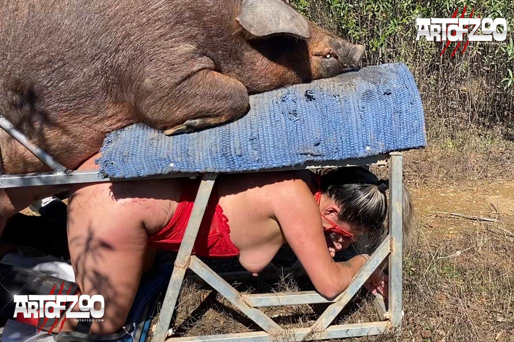 Art of Zoo - Boar Corps. Extra - pig sex videos