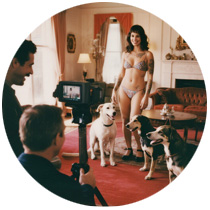 Art of Zoo - Mogul Projects - artofzoo animal sex video
