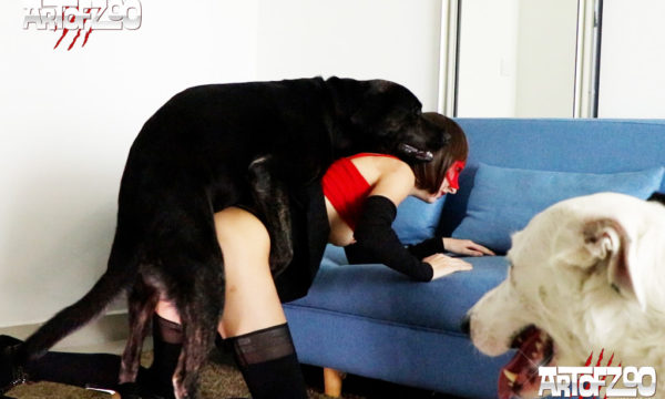 Art of Zoo - Lena - Hundehammer 2 - dog sex video