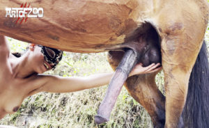 Art of Zoo - Stone Pony - Marpesa - horse sex video