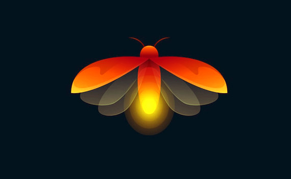 Art of Zoo - Firefly