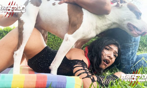 Art of Zoo - Neopack 2 - Back It Up - dog sex video