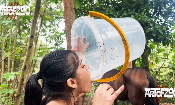 Art of Zoo - Neopack 2 - Horsefire - horse sex movie