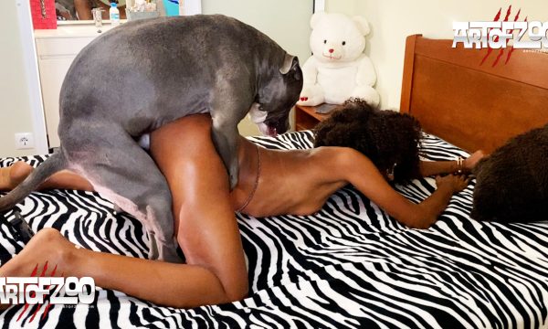 Art of Zoo - Neopack 2 - Marmalade Spread - dog sex video