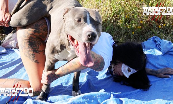 Art of Zoo - Raven X Pack - animal sex with women